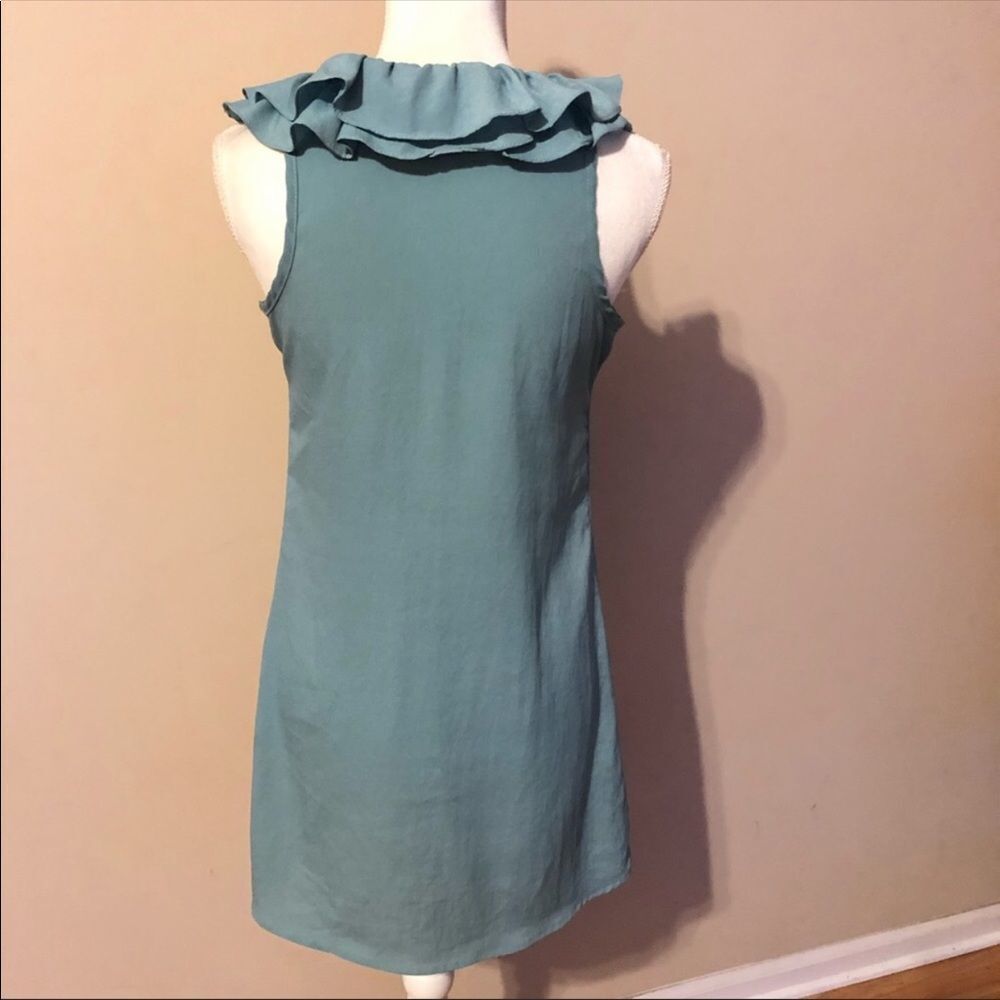 ⭐️ Pins And Needles Ruffle Dress - Picture 4 of 6